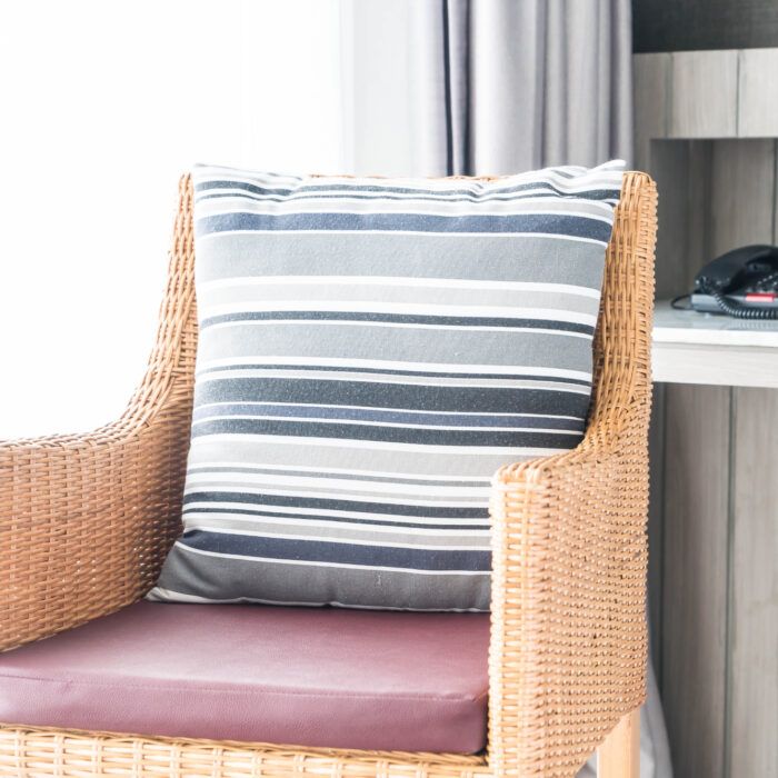 Back Support Cushion